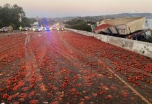 Фото - Фура попала в ДТП и рассыпала тысячи помидоров по трассе в США