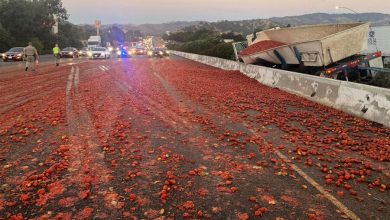Фото - Фура попала в ДТП и рассыпала тысячи помидоров по трассе в США