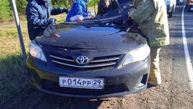 Фото - Автомобиль правительства Архангельской области столкнулся с «КамАЗом»
