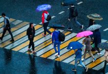 Фото - ГИБДД в Московской области проведет рейд в отношении пешеходов